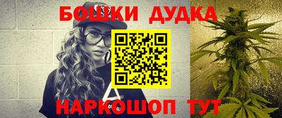 стаф Тула