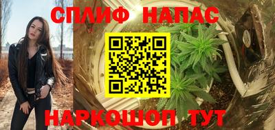 стаф Тула