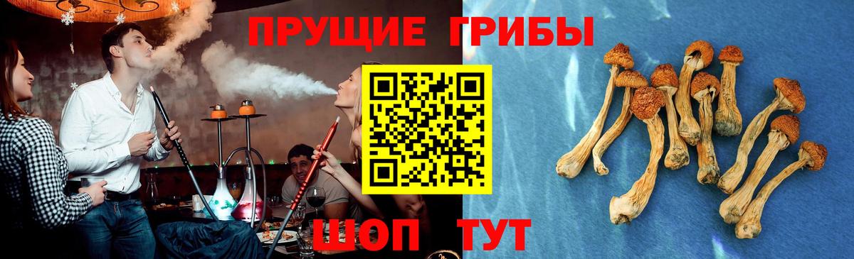 Альметьевск  Псилоцибиновые грибы MAGIC MUSHROOMS  Галлюциногенные грибы Psilocybe  Вход с VPN 